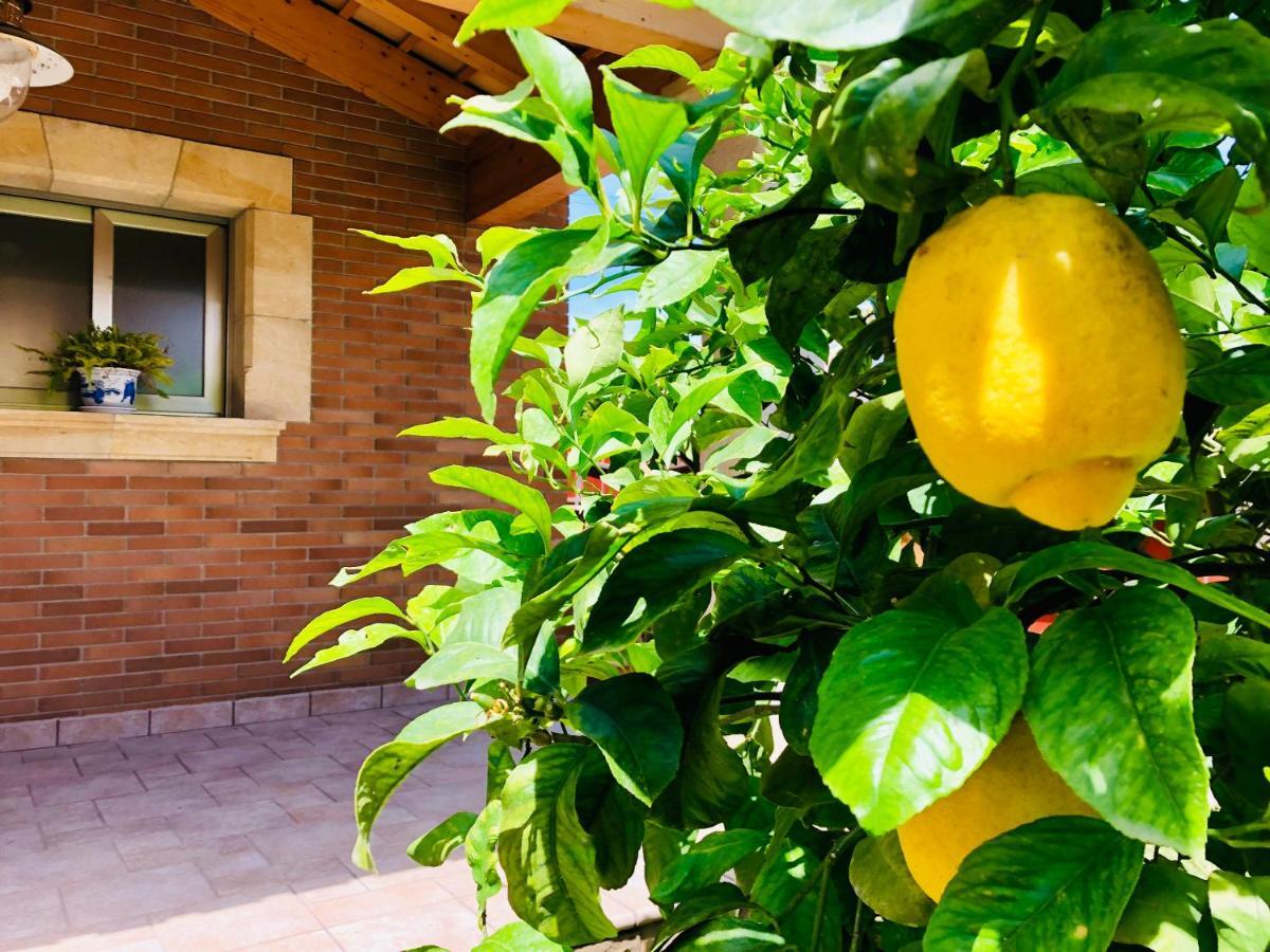 Chalet Con Piscina Privada!!! Altafulla Esterno foto
